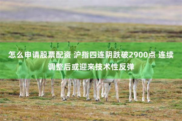 怎么申请股票配资 沪指四连阴跌破2900点 连续调整后或迎来技术性反弹