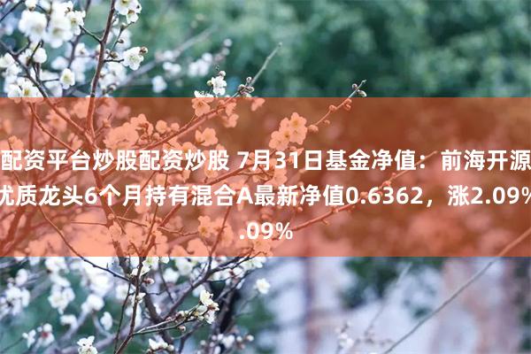 配资平台炒股配资炒股 7月31日基金净值：前海开源优质龙头6个月持有混合A最新净值0.6362，涨2.09%