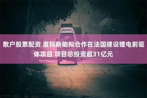 散户股票配资 厦钨新能拟合作在法国建设锂电前驱体项目 项目总投资超31亿元