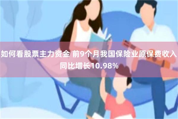 如何看股票主力资金 前9个月我国保险业原保费收入同比增长10.98%