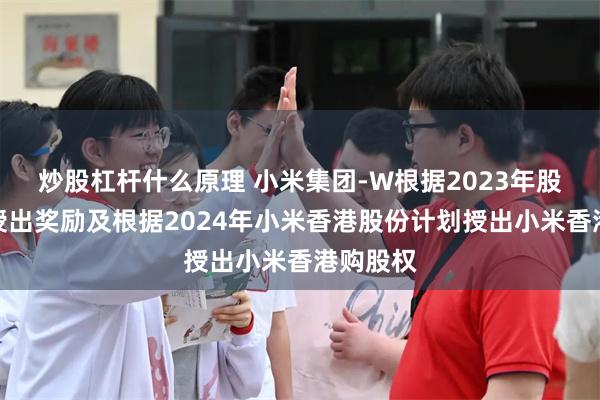 炒股杠杆什么原理 小米集团-W根据2023年股份计划授出奖励及根据2024年小米香港股份计划授出小米香港购股权