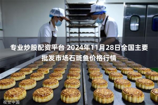 专业炒股配资平台 2024年11月28日全国主要批发市场石斑鱼价格行情