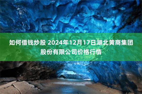 如何借钱炒股 2024年12月17日湖北黄商集团股份有限公司价格行情