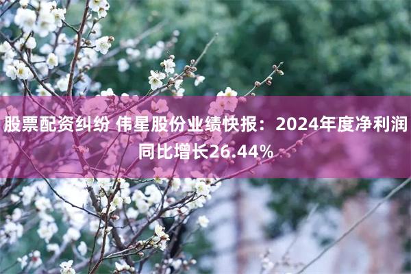 股票配资纠纷 伟星股份业绩快报：2024年度净利润同比增长26.44%