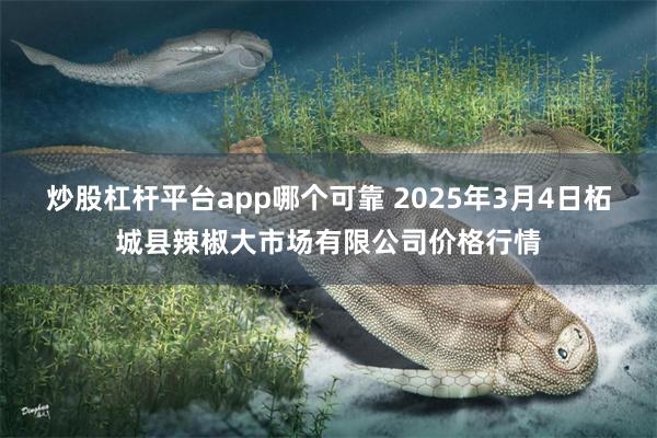 炒股杠杆平台app哪个可靠 2025年3月4日柘城县辣椒大市场有限公司价格行情