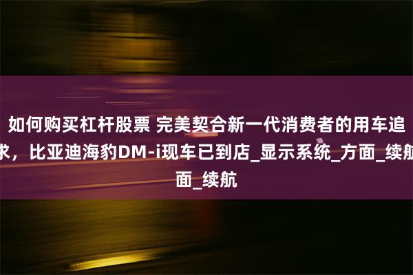 如何购买杠杆股票 完美契合新一代消费者的用车追求，比亚迪海豹DM-i现车已到店_显示系统_方面_续航